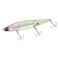 �r�E�g�P�Q�O�r�{�q�|�k�h�@�k�h�o�g�b�b